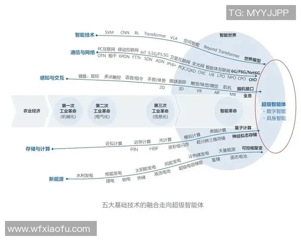 重磅专题：探索WE在整体压制革新中的关键角色与未来发展趋势