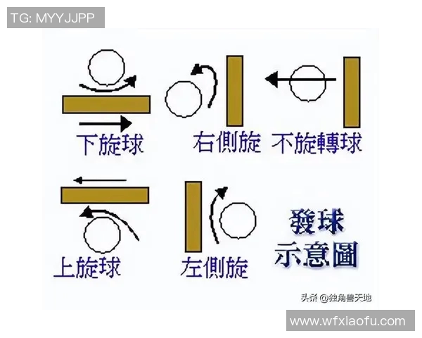 从零基础到高手：全面掌握乒乓球比赛技巧与经验指南