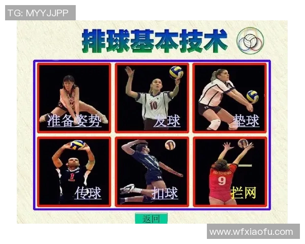 成都排球队在精英赛中的灵活性表现分析与战术探讨 成都排球队在精英赛中的灵活性表现分析与战术探讨