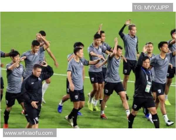 北京羽毛球队在杯赛中的技术表现分析与点评探讨