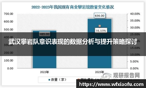 武汉攀岩队意识表现的数据分析与提升策略探讨